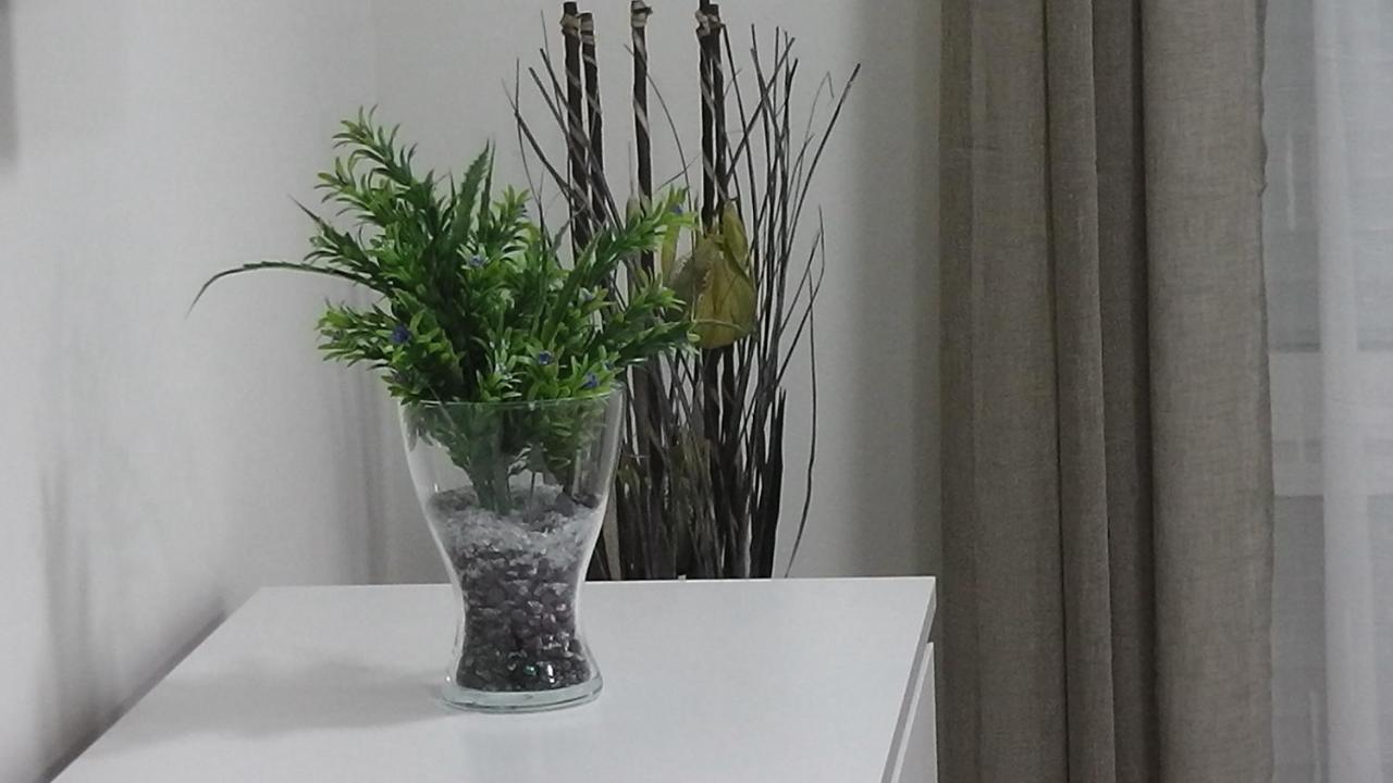 Piso Centrico 2